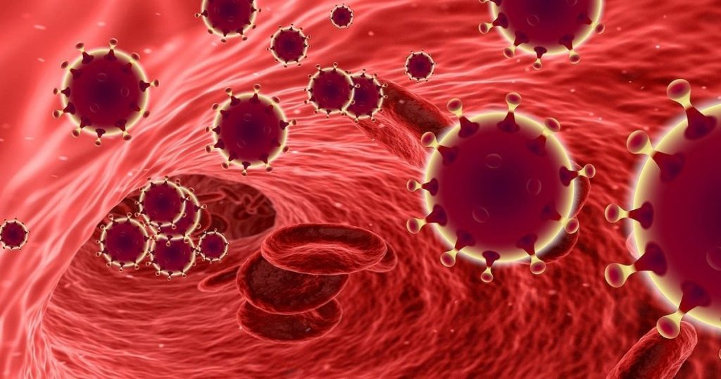Coronavirus Support
